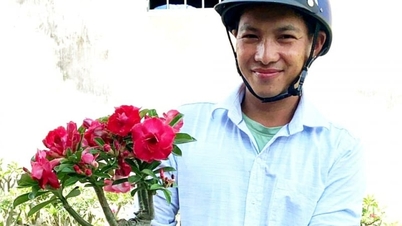 ຊາຍໜຸ່ມຄົນໜຶ່ງຈາກແຂວງດົ່ງນາຍ ປະສົບຜົນສຳເລັດໃນການປັບປຸງພັນ "ດອກກຸຫຼາບທະເລຊາຍ" ສາມາດຫາເງິນໄດ້ຫຼາຍລ້ານດົ່ງຕໍ່ມື້.