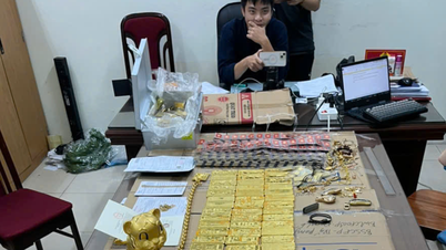 Herr Pips besitzt über das ganze Land verstreute Immobilien, zahlreiche Supercars und massives Gold.