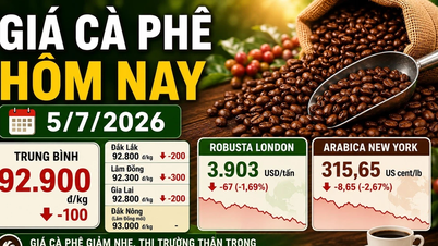 Kaffepriserna idag, 5 juli: Något nedåt, Robusta London i minus.