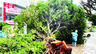 Le typhon n° 1 frappe Quang Ninh : les toits des maisons sont arrachés, les arbres sont cassés et déracinés.