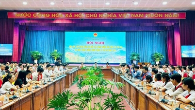 ການຖາມ-ຕອບ, ການອະທິບາຍຢ່າງຊັດເຈນເຖິງສາເຫດ, ຄວາມຮັບຜິດຊອບ ແລະ ວິທີແກ້ໄຂ.