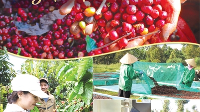 Buon Ma Thuot – Die beste Kaffeehauptstadt der Welt: Wir müssen von echtem Wert und echter Erfahrung ausgehen.