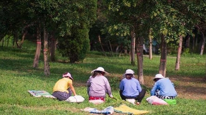 Khóa cửa cấm mẹ 76 tuổi đi làm, con trai đổi thái độ khi nhìn thấy cuốn sổ tiết kiệm
