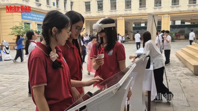 [Video] 15 provinser och städer pilotprojekt för skolsammanslagningar