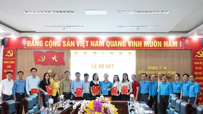 Fagforeningen i Nui Thanh-distriktet i Da Nang implementerer den første koordineringsforordningen basert på den interkommunale modellen.