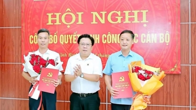 Binh Dien - Ninh Binh rondt personeelsherstructurering van partijcomité af.