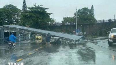 Quang Ninh: Řešení následků tajfunu č. 1 a co nejrychlejší obnovení dodávek elektřiny na ostrov Co To.