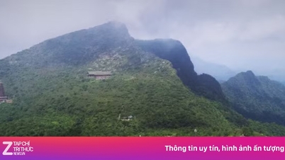 Bac Ninh: Turist räddad i tid efter att ha kollapsat av utmattning i skogen vid Tay Yen Tu.