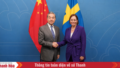 La Chine et la Suède promeuvent la coopération et soutiennent le multilatéralisme.
