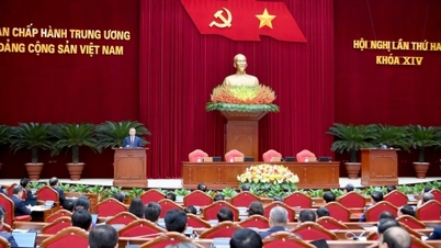 Bộ Chính trị ban hành quy định mới về hội nghị Ban Chấp hành Trung ương Đảng