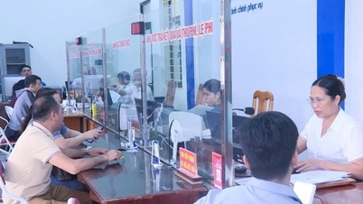Het tweeledige bestuursstelsel geeft een nieuwe impuls aan de ontwikkeling in Tuyen Quang.