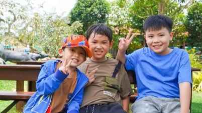 Can Tho a primit peste 7,5 milioane de vizitatori în primele șase luni ale anului 2026.