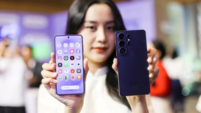 Galaxy telefonlarında birçok kişinin gözden kaçırdığı dahili bir güvenlik "kasası" bulunur.