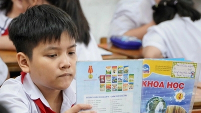La ville d'Hô Chi Minh-Ville fournit gratuitement des manuels scolaires en prêt à 73 nouvelles écoles.