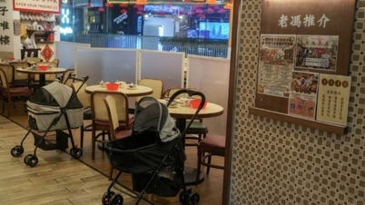 تفتح هونغ كونغ أبوابها أمام "الزبائن ذوي الأربع أرجل"، على أمل تعزيز اقتصاد الحيوانات الأليفة.