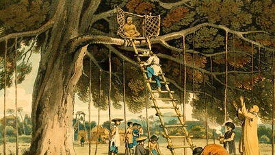 Ağaçlara tapınma inancı.