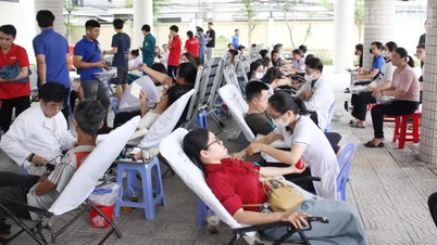 ดานัง: มีการเก็บรวบรวมโลหิตได้เกือบ 700 ยูนิต ในแคมเปญ "การเดินทางสีแดง"