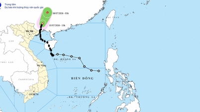 Última atualização sobre o Tufão nº 1 em 5 de julho de 2026: Enfraqueceu-se e tornou-se uma depressão tropical na China.