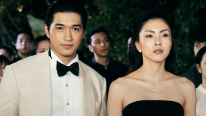 7 ngày chìm đắm trong 'bữa tiệc điện ảnh' ở Đà Nẵng