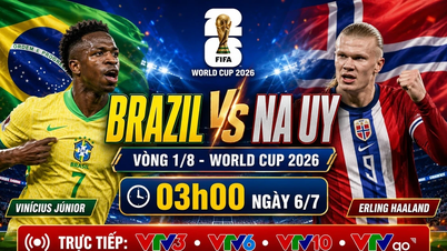 Transmisja na żywo meczu Brazylia - Norwegia: Vinicius zmierzy się z Haalandem w 1/8 finału Mistrzostw Świata 2026.