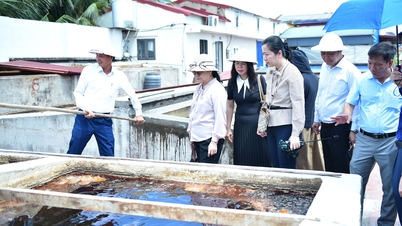 การขยายพื้นที่การพัฒนาเศรษฐกิจส่วนรวมผ่านการเชื่อมโยงระหว่างไฮฟองและลาว