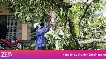 Mong Cai na tyfoon nr. 1: Ernstige overstromingen, overal bomen verspreid.