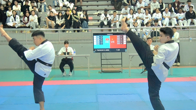 Na provinčním sportovním festivalu Gia Lai soutěžilo v taekwondu přes 130 sportovců.