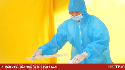 Ninh Binh hands over more than 2,000 biological samples from the remains of fallen soldiers.
