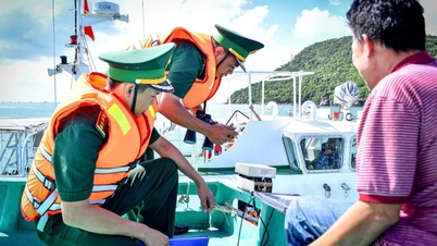 An Giang tightens management of fishing vessels, determined to remove the IUU "yellow card" warning from its roots.