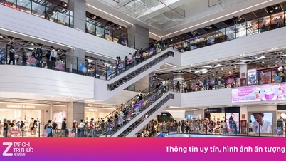 Miért özönlenek az Aeon, az Uniqlo, a Muji... mind Da Nangba?