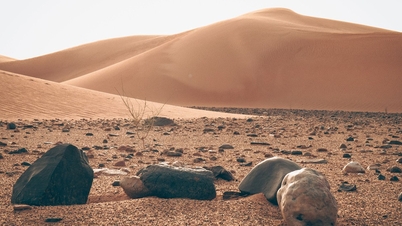 O rocă misterioasă descoperită în deșertul Sahara dezvăluie secrete uimitoare despre Sistemul Solar.