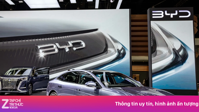 هل عادت شركة BYD إلى المنافسة في المبيعات بفضل استراتيجيتها للعولمة؟