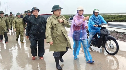 Tajemník stranického výboru provincie Quang Ninh kontroluje a řídí úsilí o zmírnění následků bouře v Mong Cai.