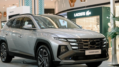 Hyundai, hibrit araçları sayesinde rekor satış rakamlarına ulaştı; modelin bir versiyonu yakında Vietnam'da da satışa sunulacak.