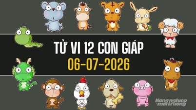 הורוסקופ ל-12 המזלות ב-6 ביולי 2026: לחולדה, שור ונחש יהיו ימים חיוביים.