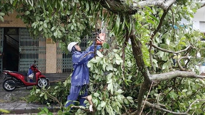 Quang Ninh håndterer ettervirkningene av tyfon nr. 1, med anslåtte skader på omtrent 20 milliarder VND.