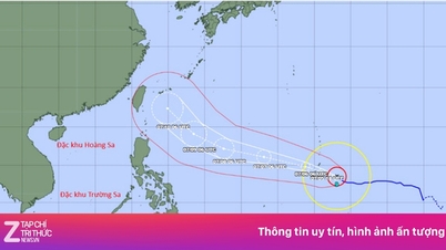 Bagaimana Topan Super Bavi akan memengaruhi Laut Cina Selatan?
