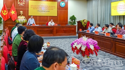 Minister of Foreign Affairs Le Hoai Trung works with leaders of Ca Mau province.