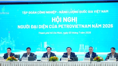 Petrovietnam phát huy vai trò Người đại diện trong giai đoạn tăng trưởng mới