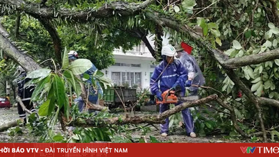 จังหวัดกวางนิงได้รับความเสียหายประมาณ 20 พันล้านดองเวียดนามจากพายุไต้ฝุ่นหมายเลข 1
