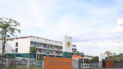 Kết quả điểm thi môn Toán tốt nghiệp THPT tại Tuyên Quang: Có dấu hiệu bất thường ra sao?