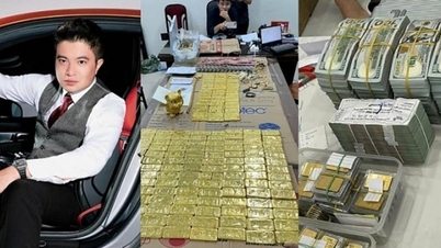 111 eiendommer og 41 luksusbiler, inkludert Rolls-Royce, Ferrari og Lexus, ble beslaglagt i underslagssaken mot Mr. Pips, som involverte 1,6 billioner VND.