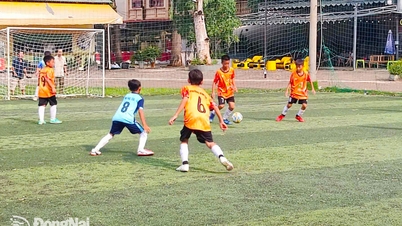 21-й дитячий футбольний турнір Dong Nai - CP Vietnam Newspaper and Radio & Television Cup 2026: Допомога юним гравцям у розвитку та дорослішанні.