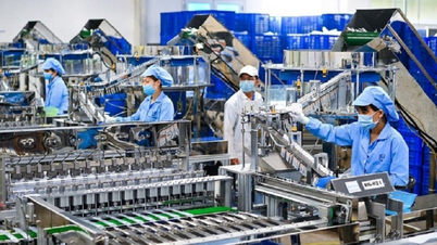 Los fundamentos científicos y prácticos de Vietnam tienen el potencial de experimentar un crecimiento de dos dígitos.