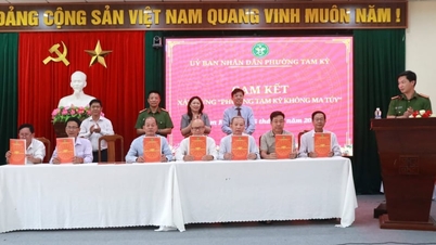 Nach der erfolgreichen Fusion nahmen der Stadtbezirk Tam Ky in Da Nang (ehemals Teil der Provinz Quang Nam) und die neu entstandenen Stadtteile umgehend ihre Arbeit auf.