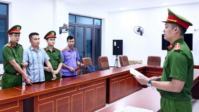 Ett akut frihetsberövande beslut verkställdes mot en lärare från Tuyen Quang Specialized High School.