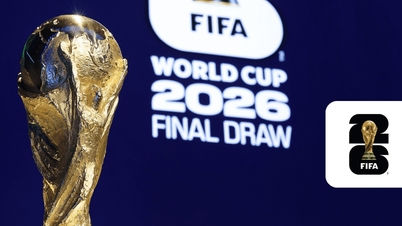 Link xem trực tiếp World Cup 2026 hôm nay 6/7
