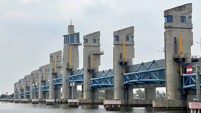 Katastroferisikostyring for Mekongdeltaet: Fra strategisk planlægning til scenarier i frontlinjen.