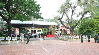 On the morning of July 6th, the search and collection of the remains of fallen soldiers commenced at Le Thi Rieng Park.