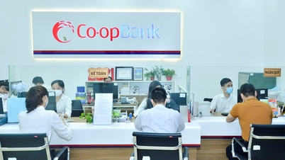 Os inspetores solicitaram ao Co-opBank Thanh Hoa que retifique e corrija as deficiências e limitações existentes.